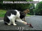 https://lolkot.ru/2009/02/08/kamennozhnitsybumaga/