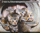 https://lolkot.ru/2010/10/05/3-chast-blagorodnogo-kollektiva/