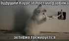 https://lolkot.ru/2008/07/04/premiya-darvina/