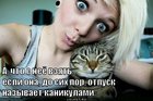 https://lolkot.ru/2012/08/09/a-chto-s-neyo-vzyat/