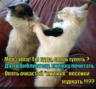 https://lolkot.ru/2014/06/11/a-knizhechka-to-levaya/