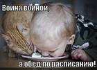 https://lolkot.ru/2012/09/25/a-kompot-2/