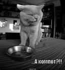 https://lolkot.ru/2012/11/12/a-kompot-3/