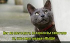 https://lolkot.ru/2012/07/18/a-mne-fioletovo/