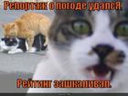 https://lolkot.ru/2013/04/09/a-na-taymyre-solntse/