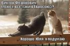 https://lolkot.ru/2013/12/03/a-nahalnaya-yevropa-druzhno-kazhet-svoyu-opu/