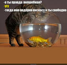 https://lolkot.ru/2015/05/01/a-ty-tochno-rezhisser/