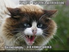https://lolkot.ru/2012/08/03/a-v-kontse-rozha/