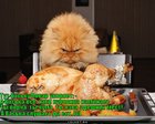 https://lolkot.ru/2011/03/15/a-vaska-slushayet-da-yest-2/