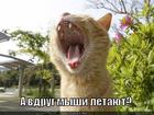 https://lolkot.ru/2012/09/03/a-vdrug/