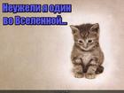 https://lolkot.ru/2016/01/28/a-ya-malenkiy-takoy/