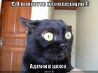 https://lolkot.ru/2011/07/06/admin-v-shoke/