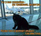 https://lolkot.ru/2011/12/08/aeroport-ryadom/