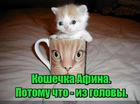 https://lolkot.ru/2016/10/24/afina/