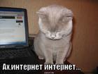 https://lolkot.ru/2011/03/13/ah-internet-internet/
