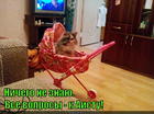 https://lolkot.ru/2015/04/15/aist-lish-kurer/