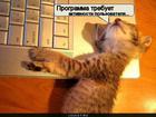 https://lolkot.ru/2011/06/07/aktivnost-polzovatelya/