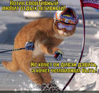https://lolkot.ru/2013/01/03/aktivnyy-otdyh/