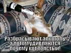 https://lolkot.ru/2014/07/05/alkogol-i-tolstota/