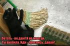 https://lolkot.ru/2016/02/18/alkokontrol/
