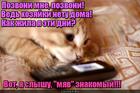 https://lolkot.ru/2015/10/22/allo-to-yest-myav/