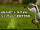 https://lolkot.ru/2012/08/26/amplua/
