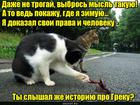 https://lolkot.ru/2016/06/21/amputatsiya-paltsev-bystro-i-dyoshevo/