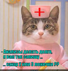 https://lolkot.ru/2012/11/28/analizy-2/