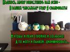 https://lolkot.ru/2016/02/06/angry-dirizher/