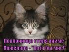 https://lolkot.ru/2015/06/14/animne/