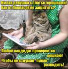 https://lolkot.ru/2016/10/05/anti-pikapschik/