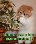https://lolkot.ru/2012/02/13/anyu-pozovi/