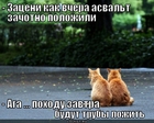 https://lolkot.ru/2011/12/05/asvalt-polozhili/