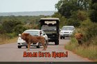 https://lolkot.ru/2011/04/17/azm-yest-tsar/