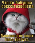 https://lolkot.ru/2011/04/04/babushka-ozverela/