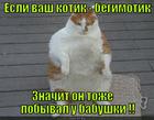 https://lolkot.ru/2013/07/18/babushkin-otkorm/