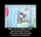 https://lolkot.ru/2016/05/22/banka-po-starinke/