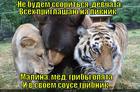 https://lolkot.ru/2014/06/21/banket-primireniya/