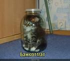 https://lolkot.ru/2011/04/18/bankotmat-2/