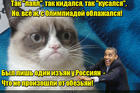 https://lolkot.ru/2016/08/27/baran-i-vorota/