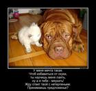 https://lolkot.ru/2016/10/13/barsik-golos/