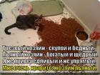 https://lolkot.ru/2013/04/09/bednyy-i-bogatyy-trezvyy-i-poddatyy/