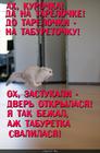 https://lolkot.ru/2014/03/16/begunok/