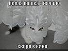 https://lolkot.ru/2013/07/28/belaya-koshka-skoro-v-kino-nachalo/