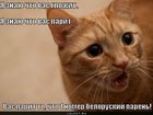 https://lolkot.ru/2011/01/09/beloruskiy-paren/