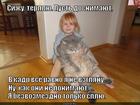 https://lolkot.ru/2014/11/10/besplatnaya-fotosessiya/