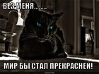 https://lolkot.ru/2011/09/26/bez-menya/