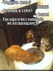 https://lolkot.ru/2012/12/13/bez-mikroba-ne-vozvraschaysya/