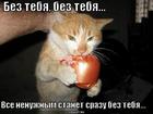 https://lolkot.ru/2011/06/20/bez-tebya-2/