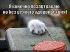 https://lolkot.ru/2012/09/05/bez-vsyakogo-udovolstviya/
